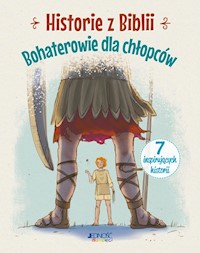 Historie z Biblii Bohaterowie dla chłopców - Jóźwik Anna Małgorzata - książka