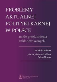 Problemy aktualnej polityki karnej w Polsce na tle przeludnienia zakładów karnych -  - książka