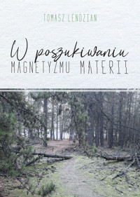 W poszukiwaniu magnetyzmu materii - Lendzian Tomasz - ebook + książka