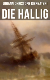 Die Hallig - Johann Christoph Biernatzki - ebook