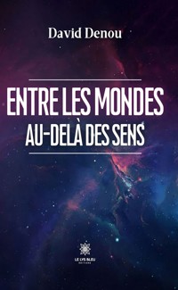 Entre les mondes - David Denou - ebook
