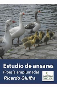 Estudio de Ansares - Ricardo Giuffra - ebook