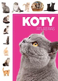 Koty Atlas ras -  - książka