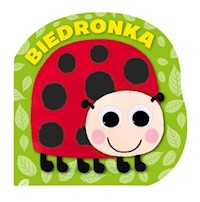 Kotek Mrugnij oczkiem i posłuchaj -  - książka