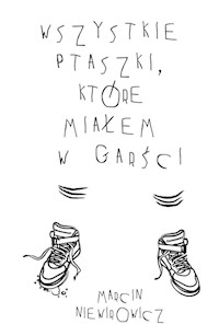 Wszystkie ptaszki, które miałem w garści - Niewirowicz Marcin - książka