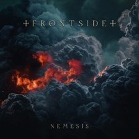 Nemesis -  - książka