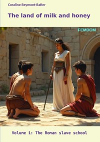 The land of milk and honey - Caroline Reymont-Bafier - ebook