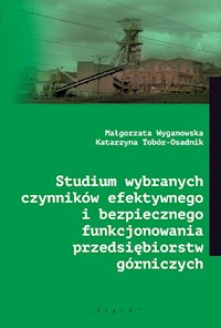 Studium wybranych czynników efektywnego i bezpiecznego funkcjonowania przedsiębiorstw górniczych - Wyganowska Małgorzata, Tobór-Osadnik Katarzyna - książka