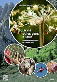 Les gens et la vie à Jaun - Marlies Remy - ebook