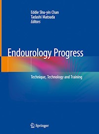 Endourology Progress -  - ebook