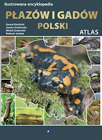 Ilustrowana encyklopedia płazów i gadów Polski - Gierliński Gerard, Grabowsk - książka