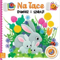 Na łące. Otwórz i szukaj! Książeczka rozkładanka z okienkami - Bogusław Michalec - książka