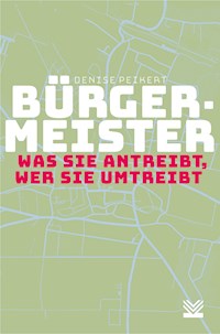 Bürgermeister - was sie antreibt, wer sie umtreibt - Denise Peikert - ebook