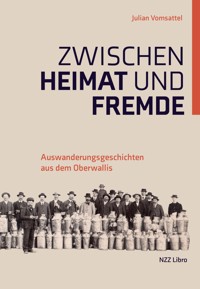 Zwischen Heimat und Fremde -  - ebook