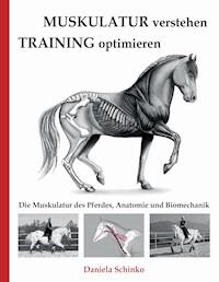 Muskulatur verstehen - Training optimieren - Daniela Schinko - ebook