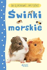 Jak się opiekować i zaprzyjaźnić Świnki morskie - Howell Laura - książka