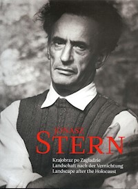 Krajobraz po zagładzie - Stern Jonasz - książka