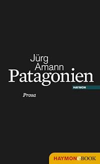 Patagonien - Jürg Amann - ebook
