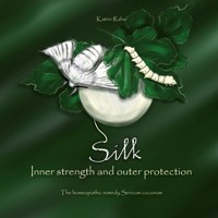Silk - Inner strength and outer protection - Katrin Rabe - ebook