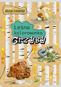 Grzyby. Leśna kolorowanka - Katarzyna Kopiec-Sekieta - książka