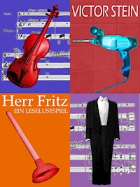 Herr Fritz oder Der Geiger als Hausmeister - Victor Stein - ebook