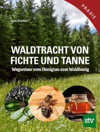 Waldtracht von Fichte und Tanne - Peter Büchner - ebook