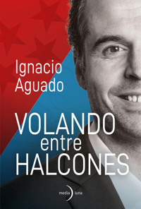 Volando entre halcones - Ignacio Aguado - ebook