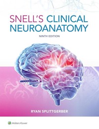 Snell's Clinical Neuroanatomy - Splittgerber Ryan - książka