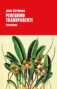 Peregrino transparente - Cardenas Juan - ebook