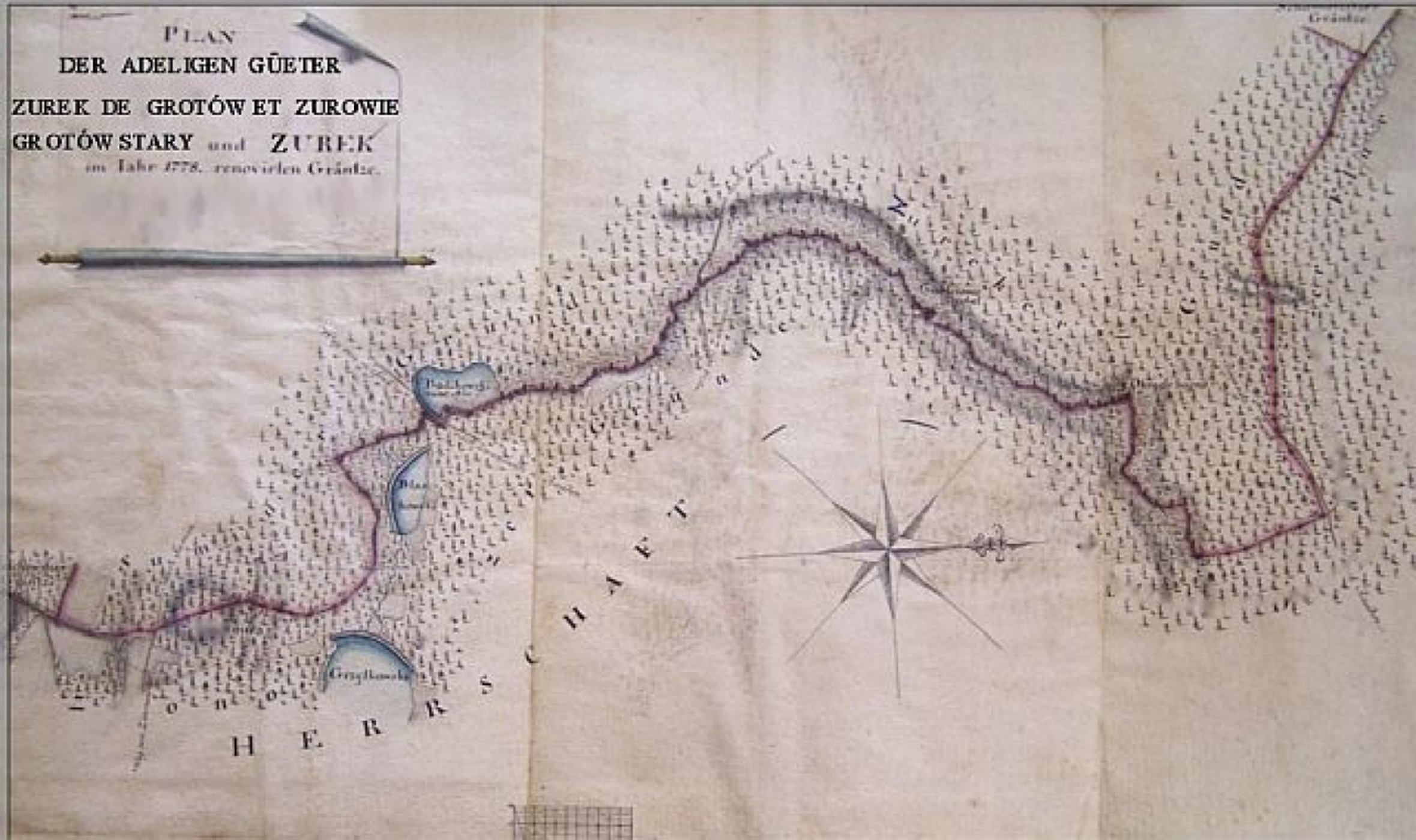 The noble Polish family Zaborski. Die adlige polnische Familie Zaborski. - Werner Zurek - ebook