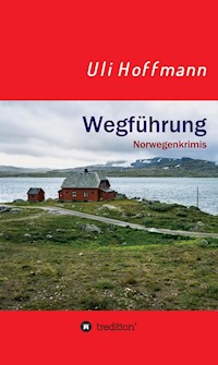 Wegführung - Uli Hoffmann - ebook