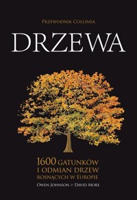 Drzewa Przewodnik Collinsa - Johnson Owen, More David - książka