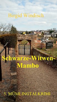 Schwarze-Witwen-Mambo - Birgid Windisch - ebook