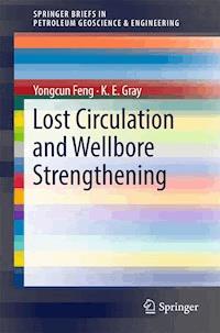 Lost Circulation and Wellbore Strengthening - Yongcun Feng - ebook