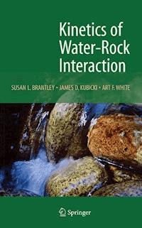 Kinetics of Water-Rock Interaction - - ebook