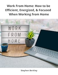 Work From Home: How to be Efficient, Energized, & Focused When Working from Home - Stephen Berkley - ebook