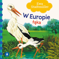 W Europie Łąka - Ewa Stadtmüller - książka