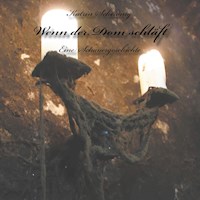 Wenn der Dom schläft - Katrin Scheiding - ebook