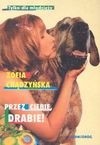 Przez ciebie, Drabie! - Zofia Chądzyńska - ebook