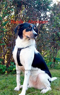 Hunde - Abenteuer - C.M. Groß - ebook
