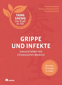 Grippe und Infekte (Yang Sheng 4) - Johannes Bernot - ebook