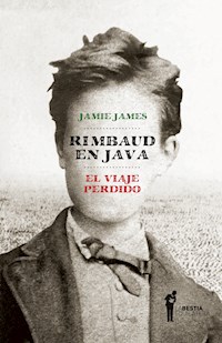 Rimbaud en Java - Jamie James - ebook