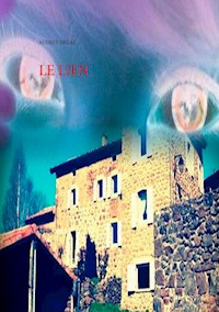 Le lien - Audrey Degal - ebook
