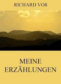 Meine Erzählungen - Richard Voß - ebook