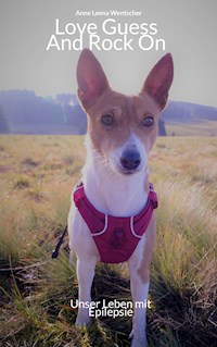 Love Guess And Rock On - Anne Leena Wentscher - ebook