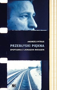 Przebłyski piękna - Pitrus Andrzej - książka