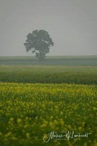 50 Geschichten zum Gruseln - Loreen Mildner - ebook