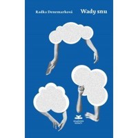 Wady snu - Radka Denemarková - książka