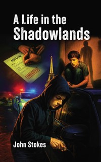 A Life in the Shadowlands - John Stokes - ebook