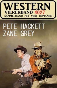 Western Viererband 4027 - Grey Zane - ebook